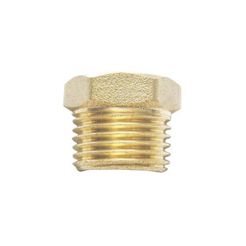 NPT Hex Plug