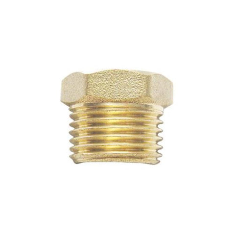 NPT Hex Plug