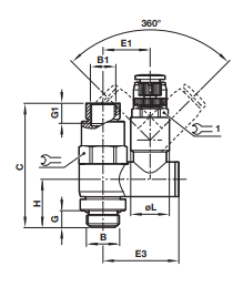 Speed control and pilot check C02GN