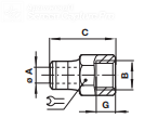 Female straight adaptor, female parallel BSP 10226