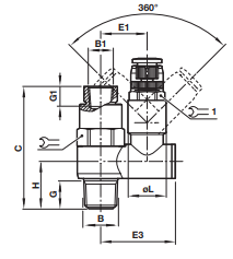 Speed control and pilot check C01GN