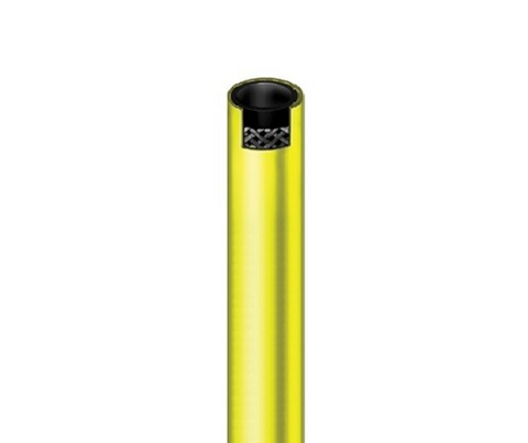 Conti Super Ortac