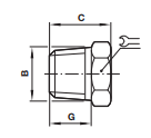 ISO R - Plug 15005