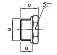 ISO G - Plug with flange - spanner 16005