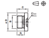 ISO G - Plug with flange - hex 16206