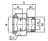 NPT – ISO R - Adaptor 15423